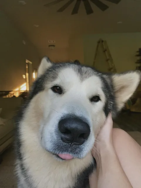 Oh yeah, that’s the spot. 👅