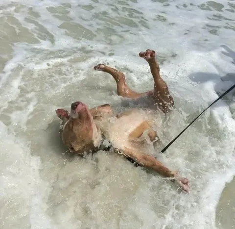 when I go to the beach