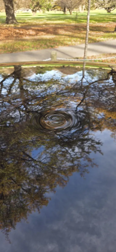 Parked 150m from a golf course