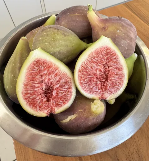 our freshly picked figs 😍