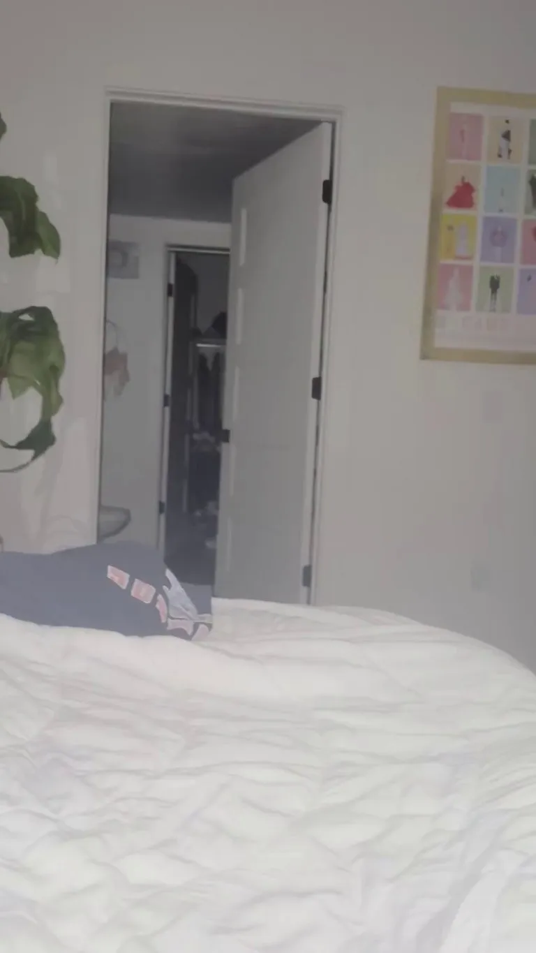 My cat’s OBSESSED with fetch