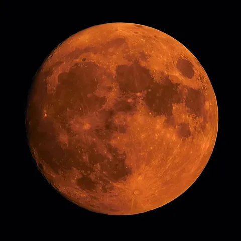 Last Night’s (Almost) Full Blue Supermoon ✨