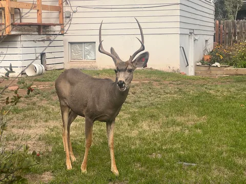 I WOULD LIKE TO PRESS CHARGES ON THIS VANDAL