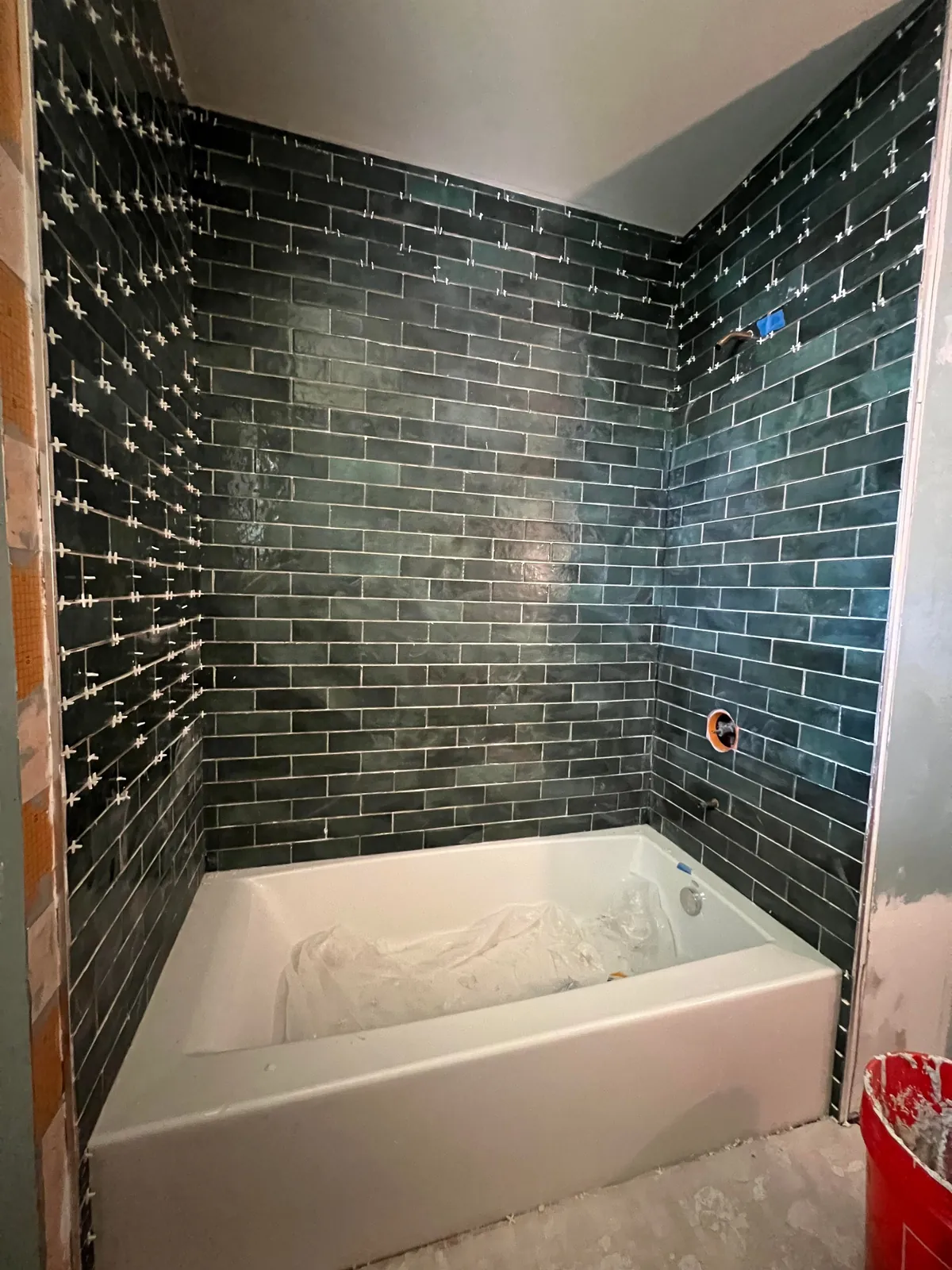 Remodeling the Only Bathroom in the House