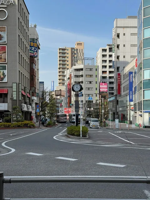 15 days solo trip to Japan. March- April 2025.