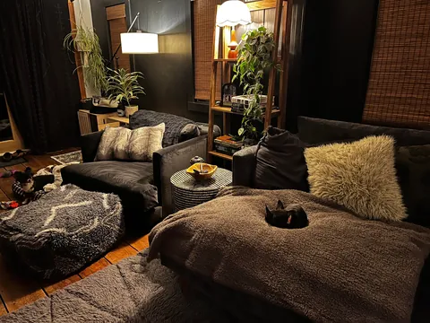 My downstairs living room, kitchen, entry way, music room and bathroom