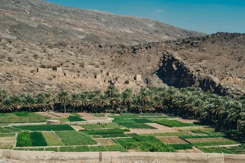 I cycled across Oman. Here are some pics