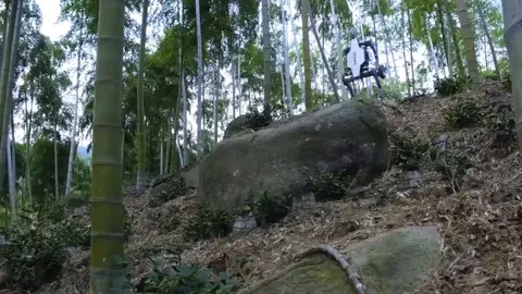 Deep Robotics' new quadruped models with wheels demonstrating rough terrain traversability and robustness