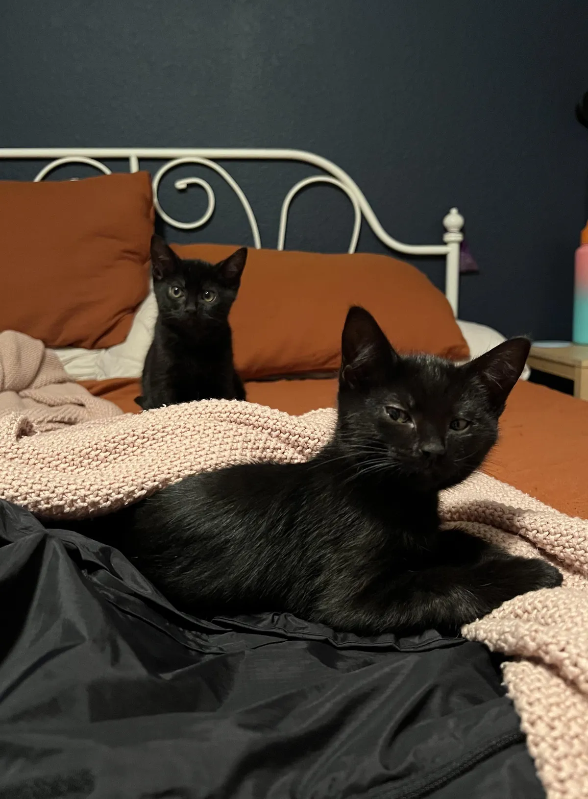 Oof, very judgmental  