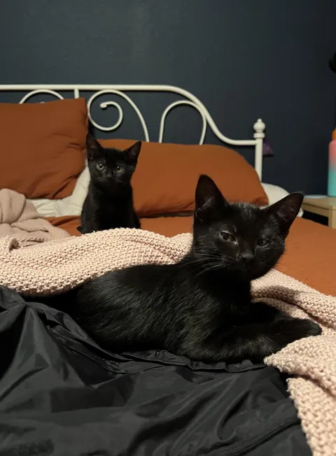 Oof, very judgmental  