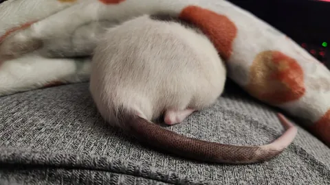 POV you discovered the source of the egg smell