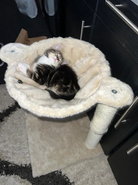 She’s so cute when she sleeps