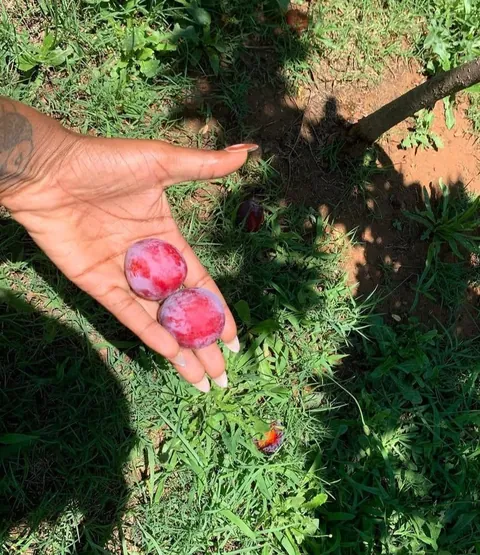 Just enjoying my first harvest in my own home🥰.