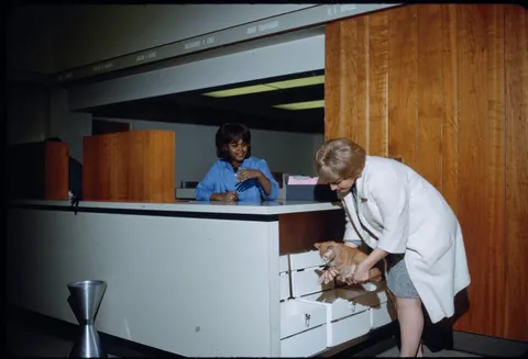 Mama Don't Take My Kodachrome Away, Kodachrome Images 1944-1977