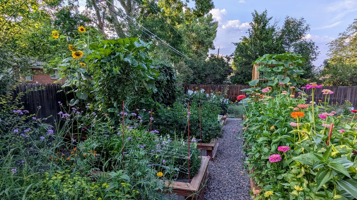 Three years ago I replaced my lawn with garden beds to cope with chronic illness and depression. What started as a hobby has grown into a small flower farm and a brighter chapter in my life.