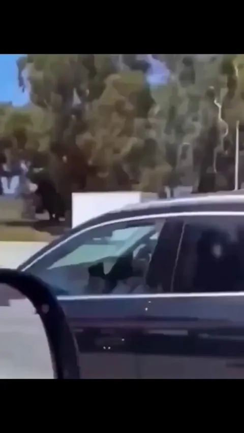 Feels good to be back