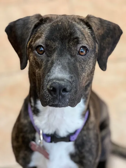 My mommy says I’m a very pretty girl