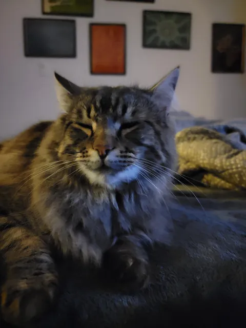 My boy majestic ✨️ as always 💙