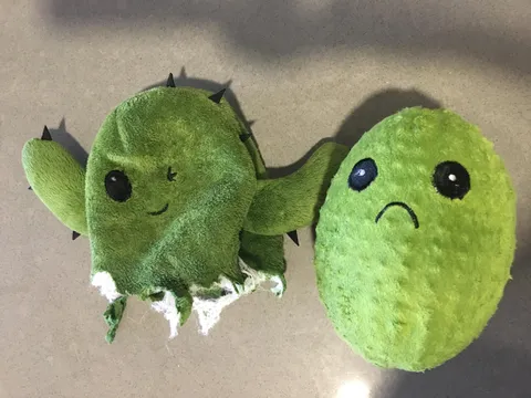 My dog destroyed her toy cactus, and there was another sad cactus inside