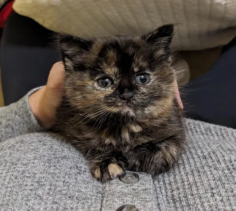 Update #2 - Elsa the ice princess is a celebrity!