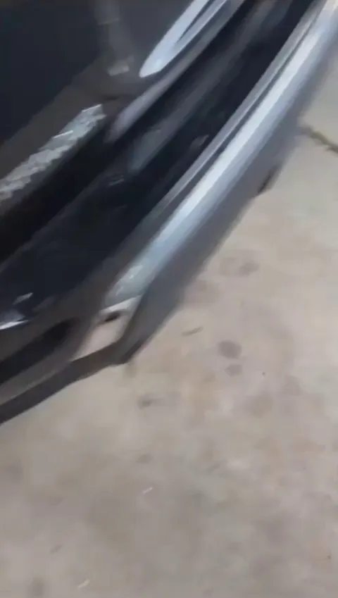 A guy pulls a poor exhausted squirrel out of the pool