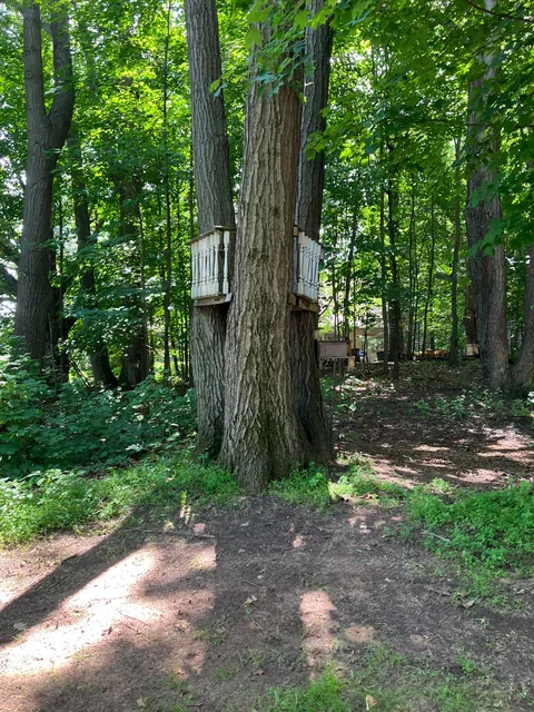 Tree fort for my kids.  The last 4 pics are what the previous tree fort looked like when we bought the property in May
