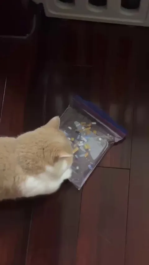 Aww, so happy my little princess actually likes the toy I made for her! 👑🥹