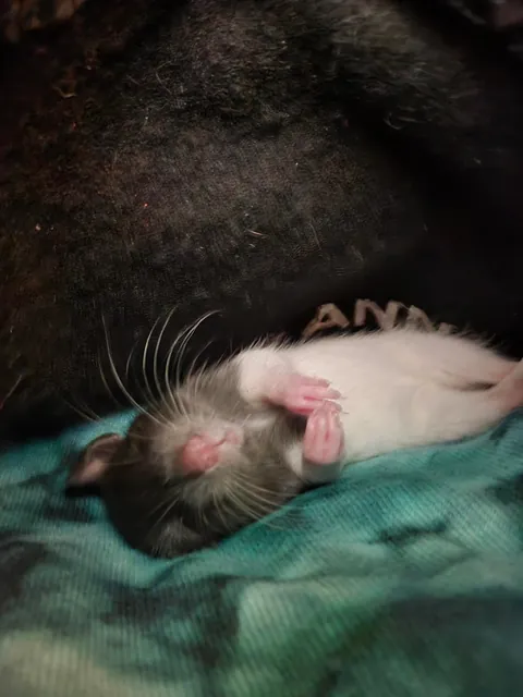 I literally met this man a day and a half ago