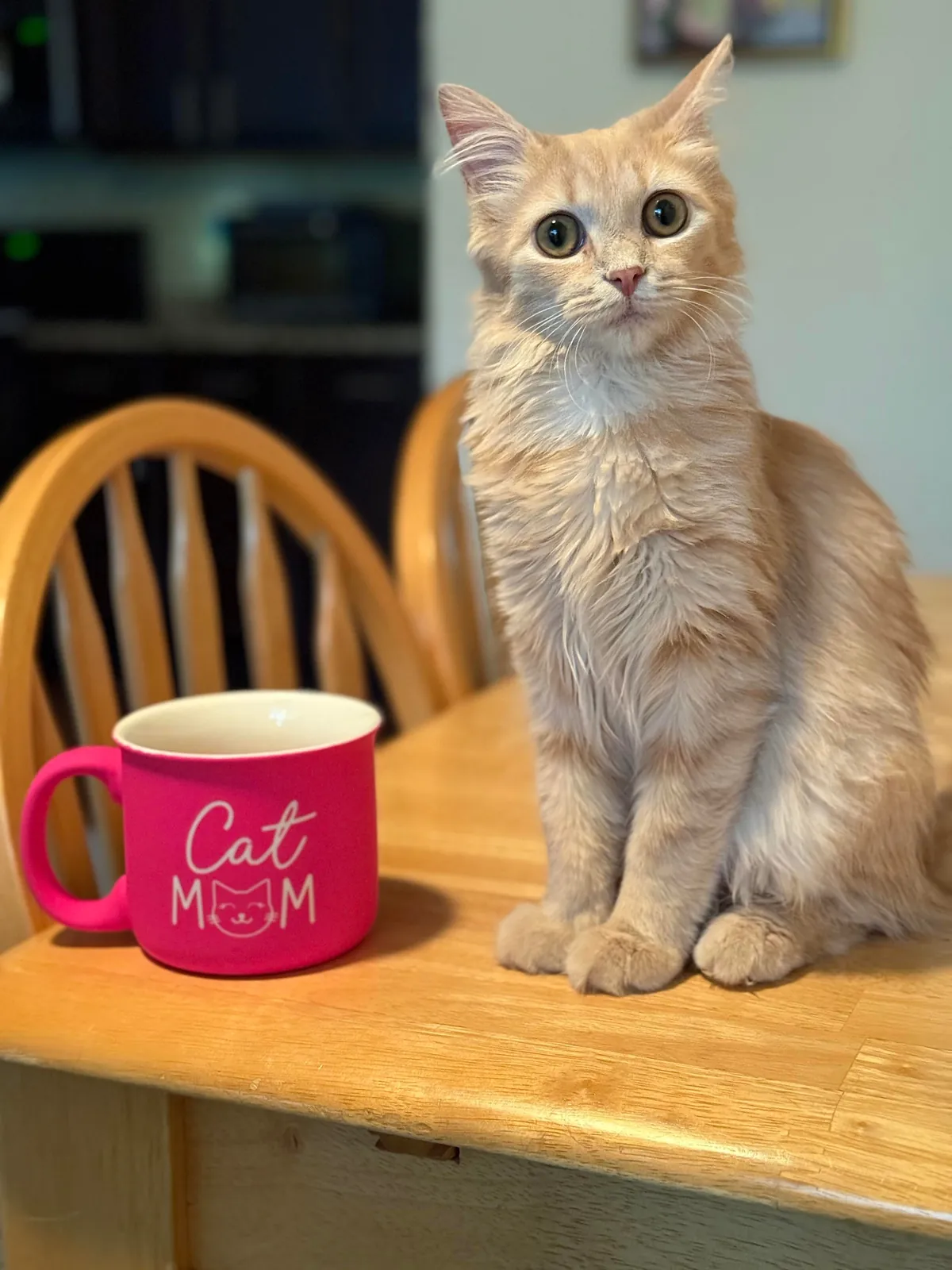 My sweet little lady