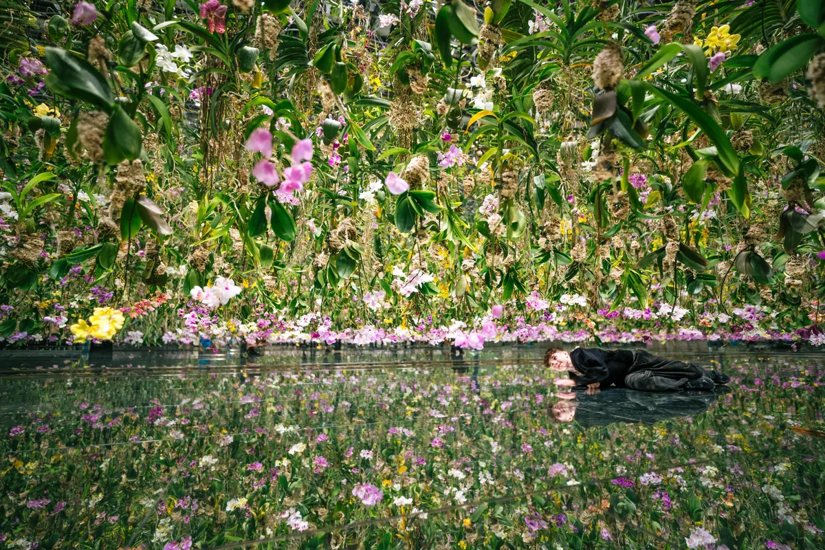 An incredible two weeks in Japan!