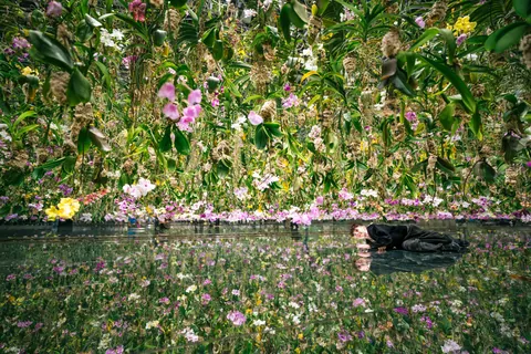 An incredible two weeks in Japan!