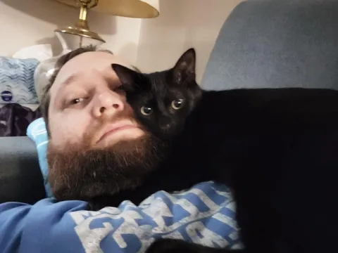 Stuck at home with a bad cold. Obsidian insists this will make me feel better.