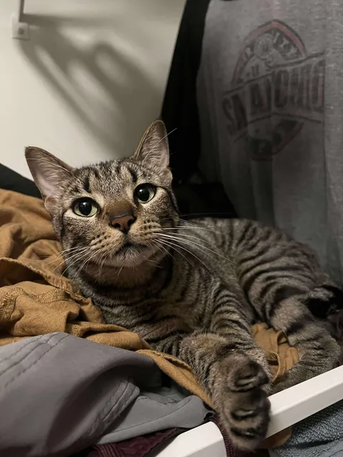 My bubba passed away suddenly.