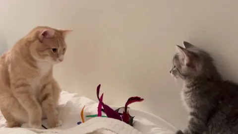 Not a bad first day introduction?