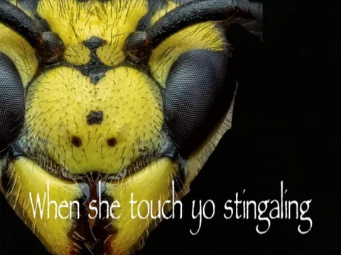 When she touch yo stingaling