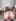 jerk off to which pict 1-6