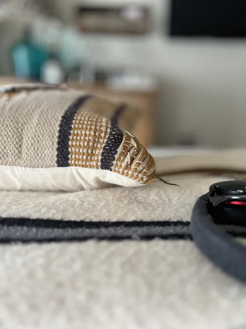 This cushion on my hotel bed looks like a hissing snake