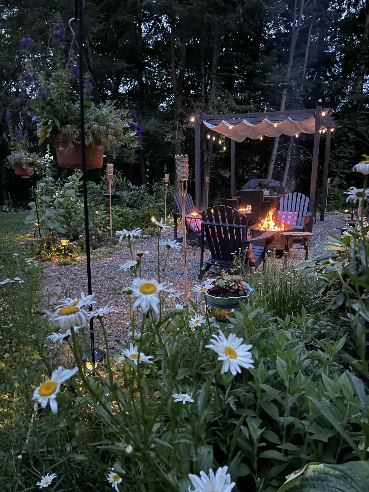 My cozy garden starting to fill in and bloom