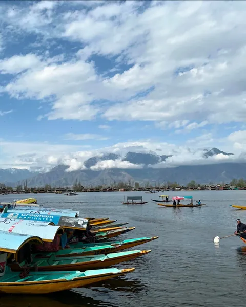 Scenes from my travels across India 🇮🇳