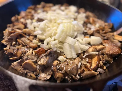 [homemade] baked mushroom Marsala tortiglioni