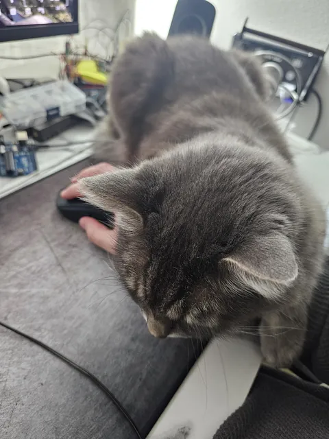 You'd be surprised how good I've gotten at playing FPS like this.