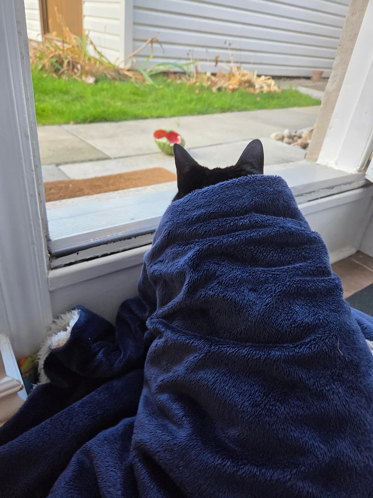 When "hunting" is life, but it's cold outside