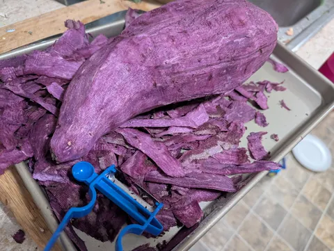 Just wanted to show off this massive 5 lb purple sweet potato I pulled up today.