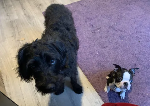 We demand immediate cuddles and if not provided, there will be severe consequences