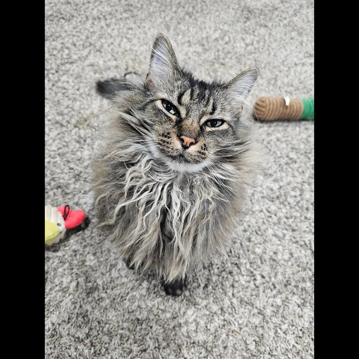 She's kinda a big deal.