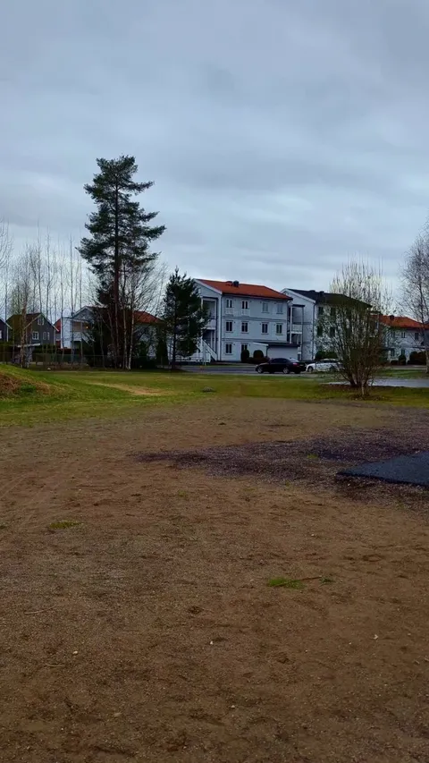 My boy is so happy to see me. Every time I come home from work, Rambo meets me 500 meters from my house. 13 years of love and loyalty 😻