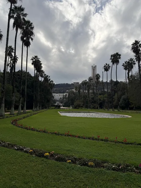 Amazing few days in Algeria