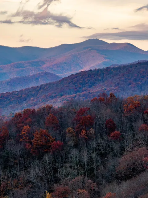 Last week of fall foliage in the Appalachian Mountains (Georgia, USA) [OC] [4000x6000] 