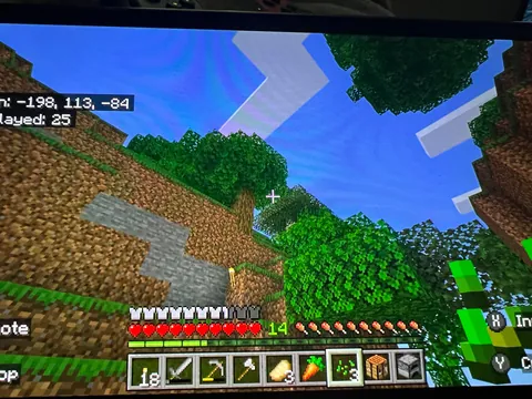 Why can’t I plant seeds?