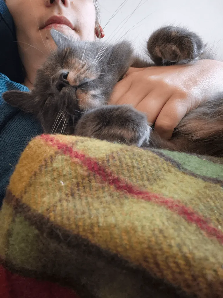 My cat is one of my favourite people